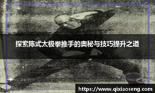 探索陈式太极拳推手的奥秘与技巧提升之道